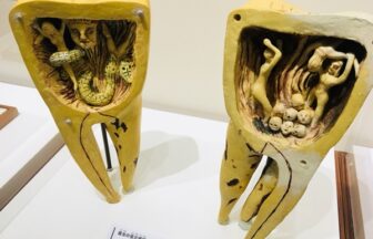 歯の博物館 名古屋