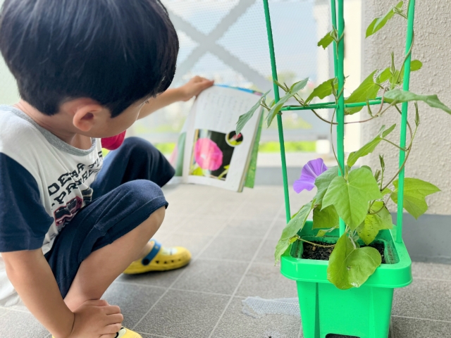 小学校受験 意味ない